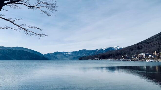 From Tokyo: Nikko One Day Private Tour With English Driver - Accessibility Features