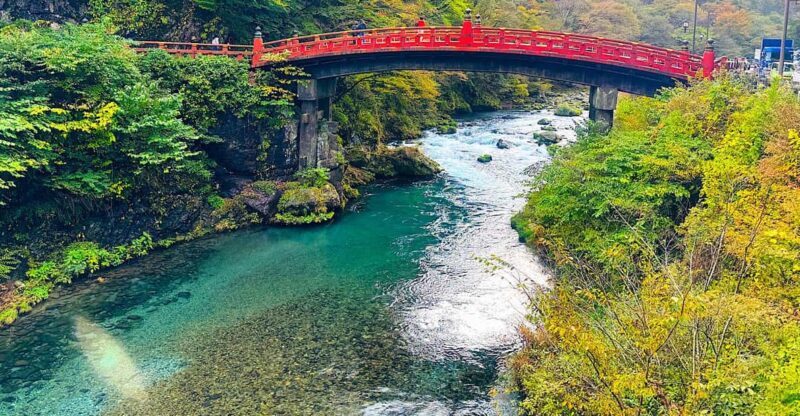 From Tokyo: Nikko private 1-day sightseeing Tour with Guide - Why This Tour Offers Great Value