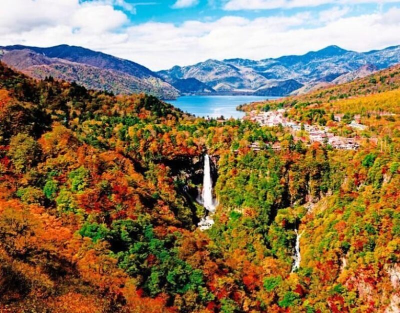 From Tokyo: Nikko private 1-day sightseeing Tour with Guide - Good To Know