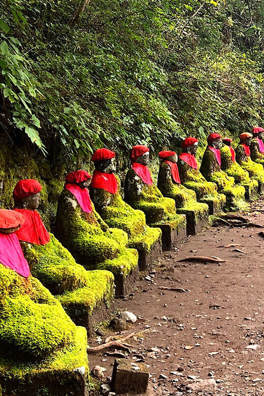 From Tokyo: Nikko private 1-day sightseeing Tour with Guide - Practical Considerations