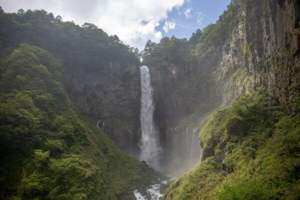 From Tokyo: Nikko Private City Sightseeing Tour With Driver - Customer Feedback