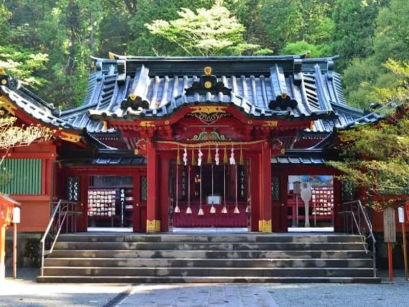 From Tokyo: Nikko Private Customizable Tour With Guide - Transportation, Timing, and Group Size