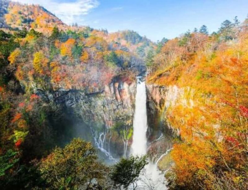 From Tokyo: Nikko Private Customized Tour With English Guide - Practical Details & Value