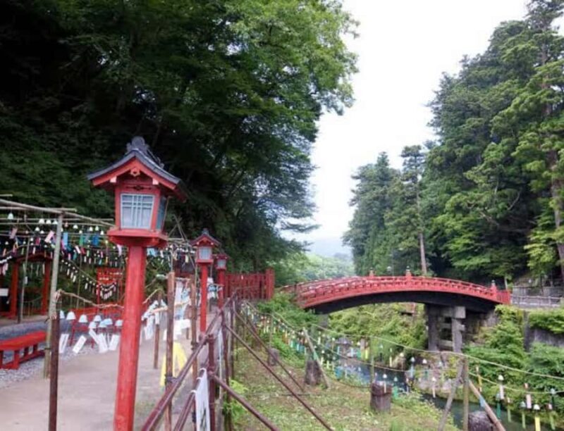From Tokyo: Nikko Private Customized Tour With English Guide - Who Would Enjoy This Tour?
