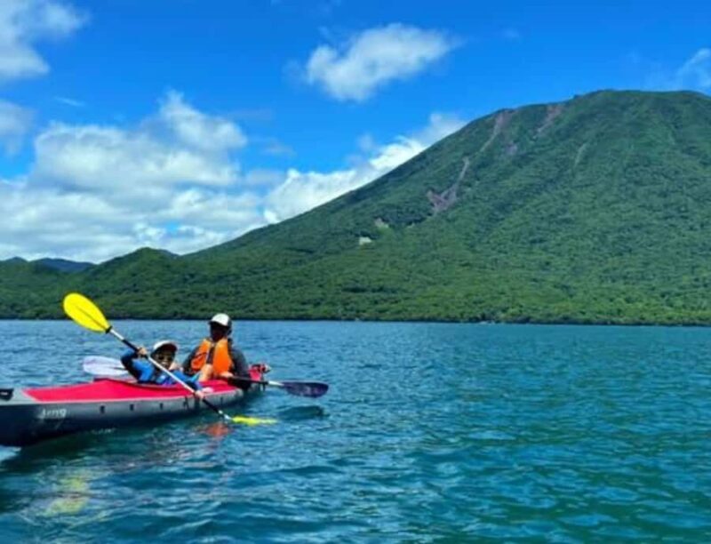 From Tokyo: Nikko Private Customized Tour With English Guide - The Sum Up