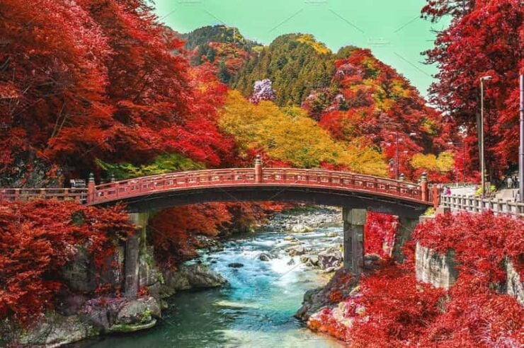 From Tokyo: Nikko Private Day Trip With English Guide - Itinerary Highlights