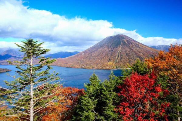 From Tokyo: Nikko Private Day Trip With English Guide - Pricing Details