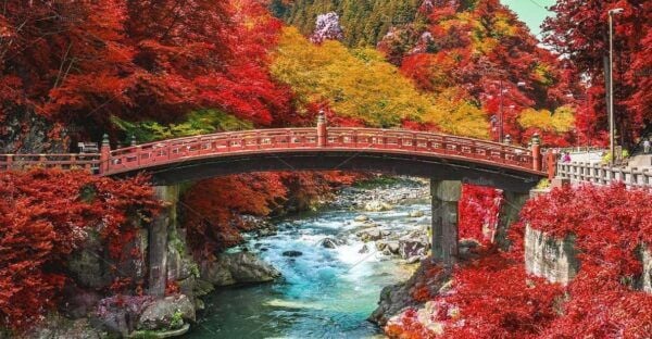 From Tokyo: Nikko Private Day Trip With English Guide - Booking Information