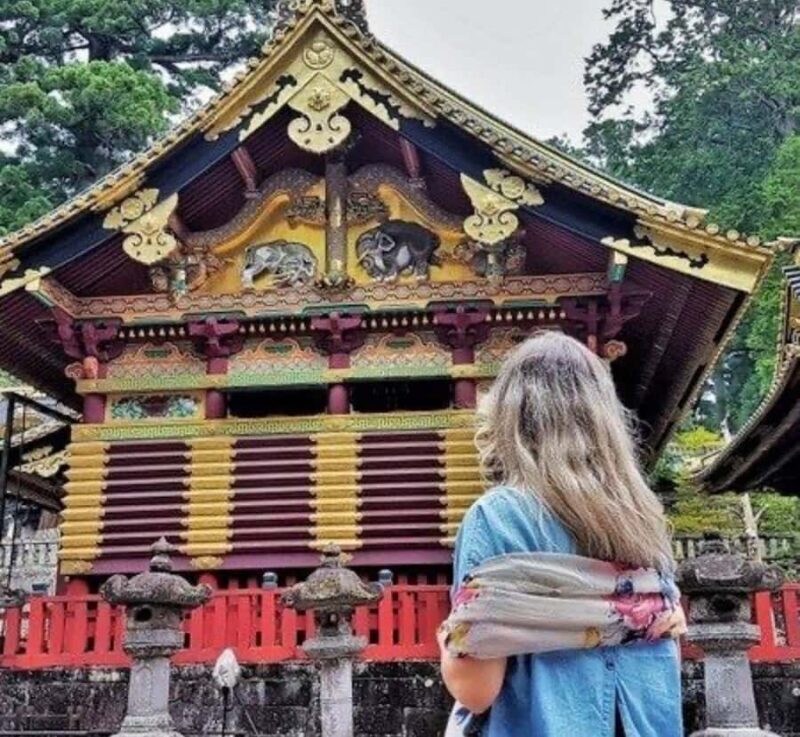 From Tokyo: Nikko Private Full-Day Heritage & Nature Tour - Who Is This Tour Best For?