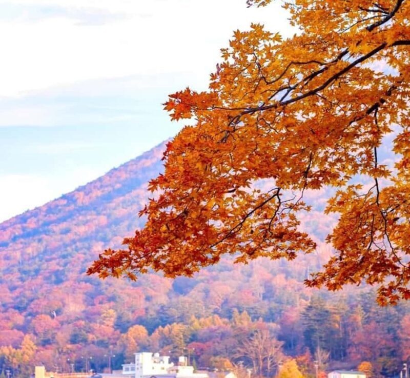 From Tokyo: Nikko Private Full-Day Heritage & Nature Tour - Who Will Love This Tour?