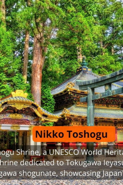 From Tokyo: Nikko Private Full-Day Sightseeing Day Trip - What to Bring