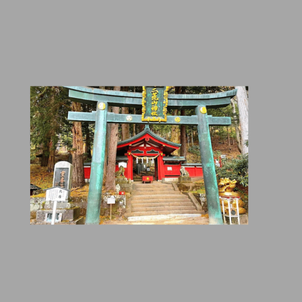 From Tokyo; Nikko Private Full Day Tour Hotel Pick-Up By Car - Tips for a Great Experience