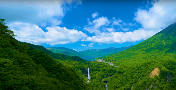 From Tokyo: Nikko Private Sightseeing Tour With Transfers - Accessibility Features