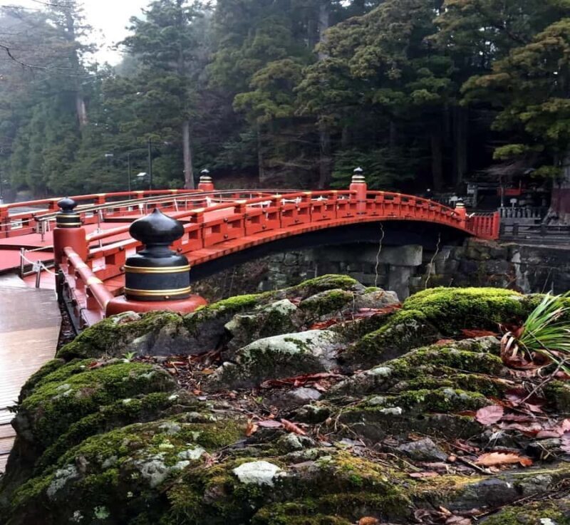 From Tokyo: Nikko Private Tour with Guide & Pickup - Exploring the Highlights of the Nikko Private Tour
