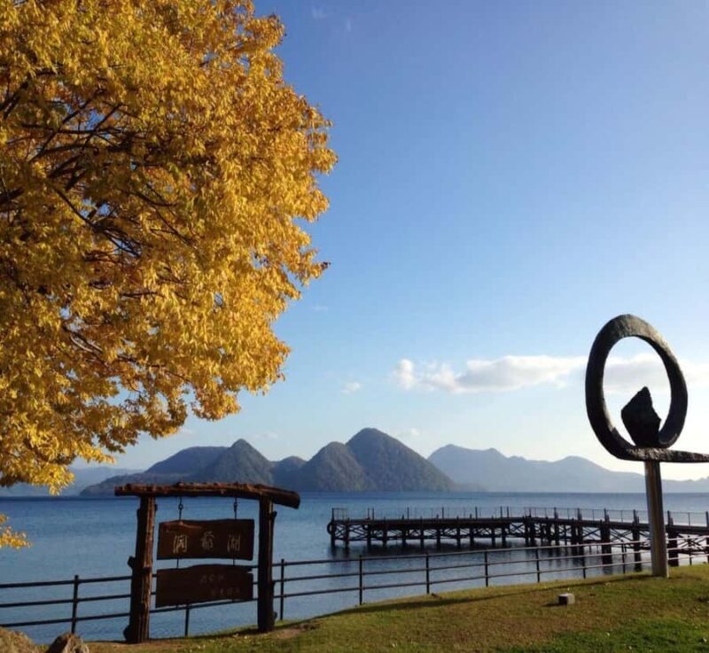 From Tokyo: Nikko Private Tour with Kegon Falls - Introduction