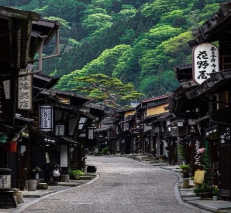 From Tokyo: Nikko Private Tour with Kegon Falls - Practical Considerations