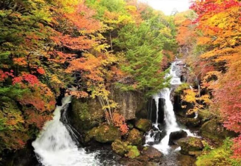 From Tokyo: Nikko Private Tour with Toshogu Shrine & Falls - FAQ