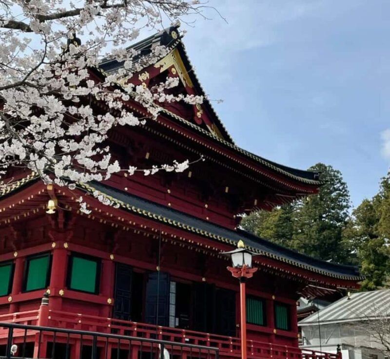 From Tokyo: Nikko Private Tour with Toshogu Shrine & Falls - FAQ