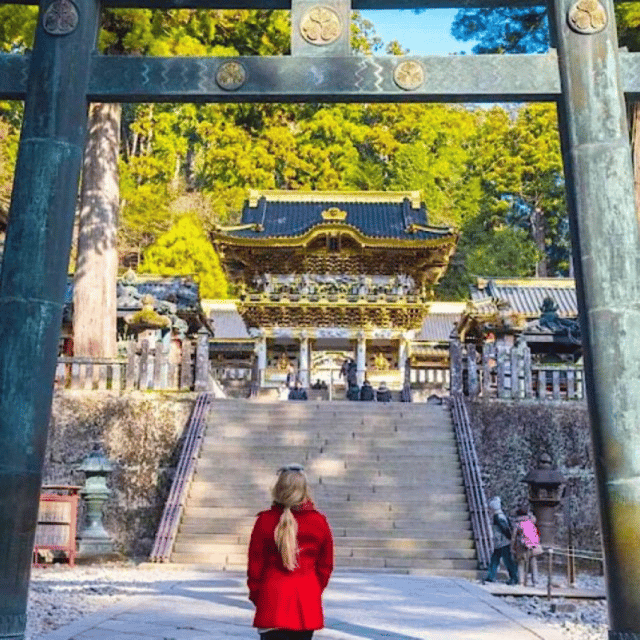 From Tokyo: Nikko Sightseeing Private Day Tour English Guide - Communication Details