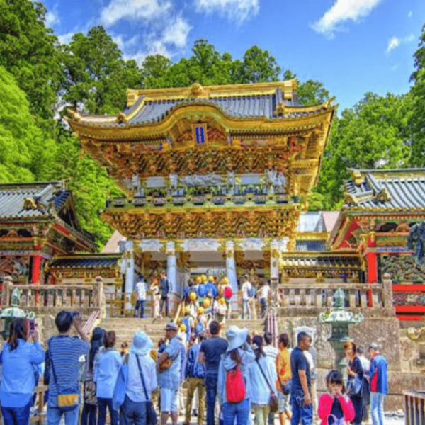 From Tokyo: Nikko Sightseeing Private Day Tour English Guide - Pricing and Group Size
