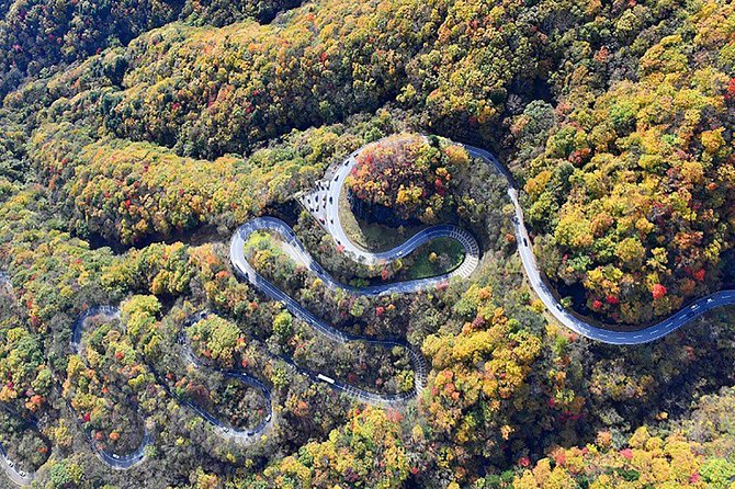 From Tokyo: Nikko Toshogu Shrine, Kegon Waterfall and Lake Chuzenji - Meeting Point and Pickup Details
