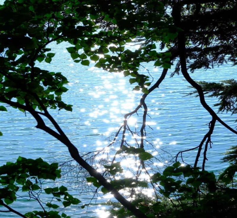 From Tokyo: Nikko Toshogu Shrine & Kegon Waterfall Tour - Good To Know