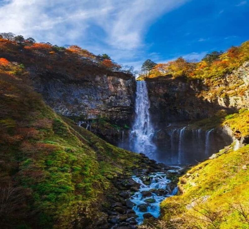 From Tokyo: Nikko Toshogu Shrine & Kegon Waterfall Tour - A Closer Look at the Experience