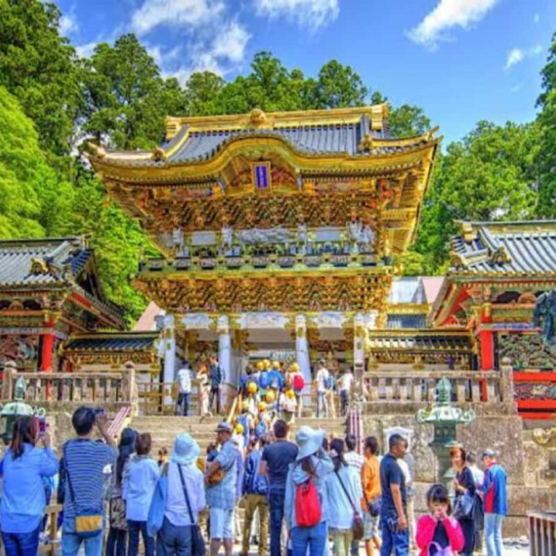 From Tokyo: Nikko Tshog Private Tour Customizable Day Trip - Who Should Consider This Tour?