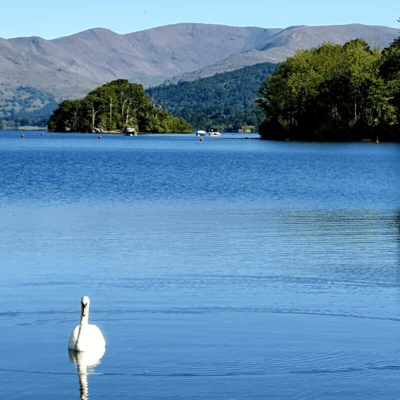 From Tokyo: Nikko Tshog Private Tour Customizable Day Trip - Final Thoughts