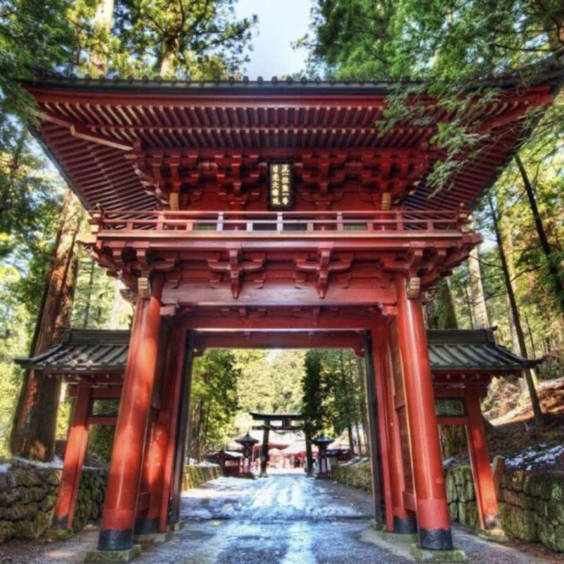 From Tokyo: Nikko Tshog Private Tour Customizable Day Trip - Practical Tips for Your Day Trip