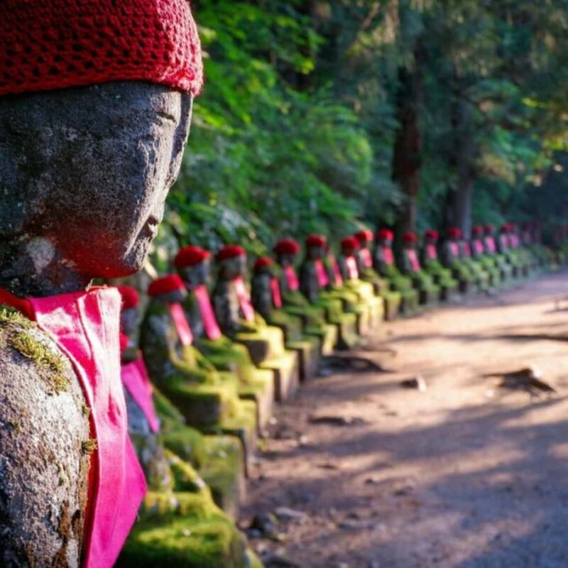 From Tokyo: Nikko Unesco World Heritage Private Guided Tour - An In-Depth Look at the Nikko Private Tour