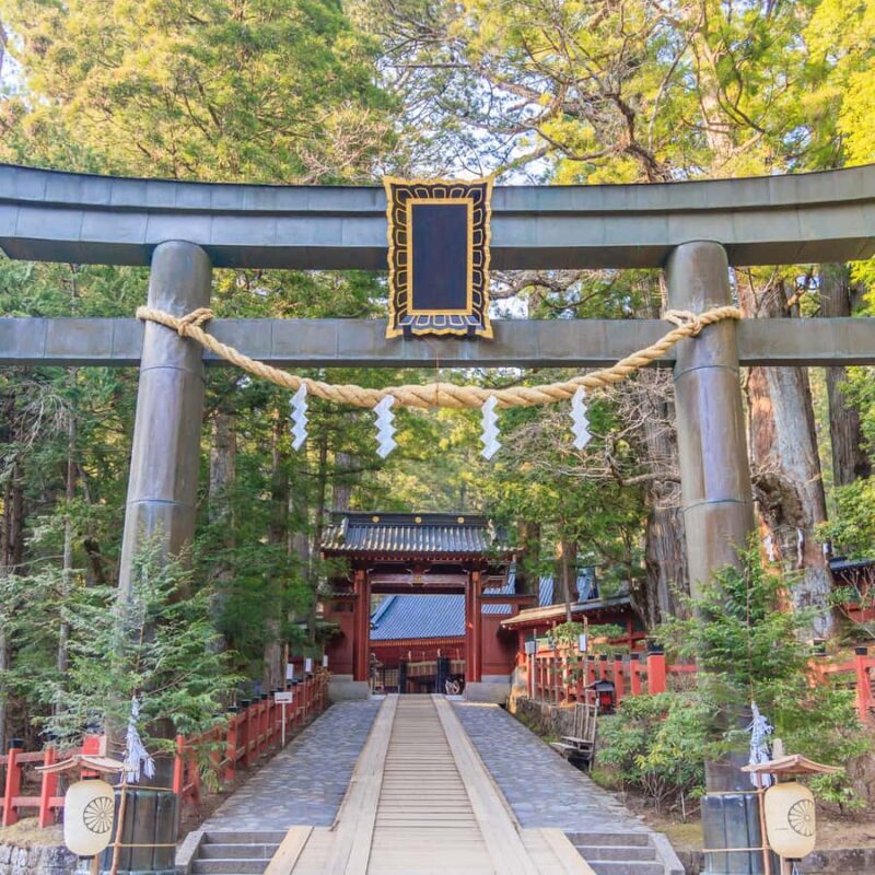 From Tokyo: Nikko Unesco World Heritage Private Guided Tour - Practicalities: What You Need to Know