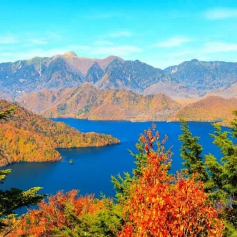 From Tokyo: Nikko Unesco World Heritage Private Guided Tour - Who Would Love This Tour?