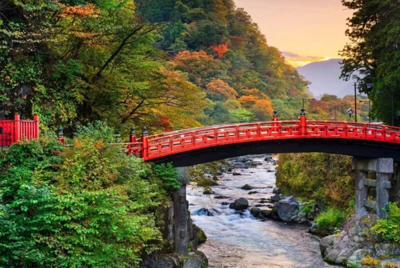 From Tokyo: Nikko World Heritage Full Day Private Tour - Who This Tour Is Best For