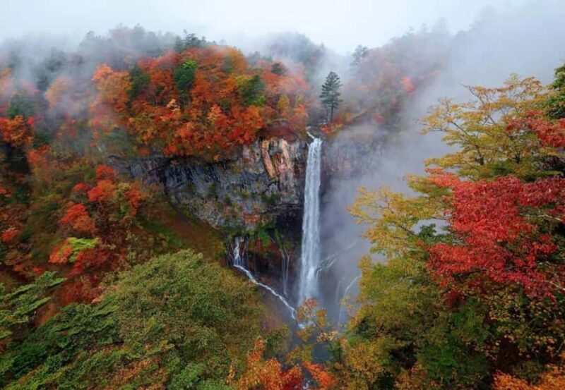 From Tokyo: Nikko World Heritage Full Day Private Tour - FAQ