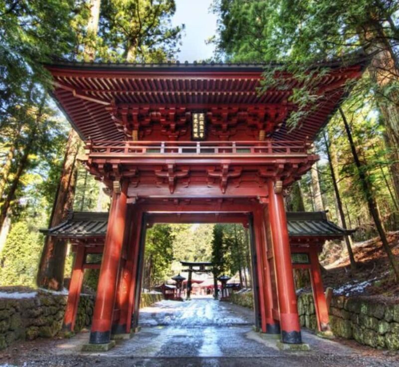 From Tokyo: Nikko World Heritage Private Tour with Guide - A Deep Dive Into the Nikko Experience