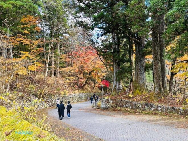 FROM TOKYO: NIKKO WORLD HERITAGE SIGHTS PRIVATE TOUR - Local Cuisine Recommendations