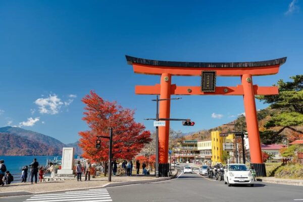 FROM TOKYO: NIKKO WORLD HERITAGE SIGHTS PRIVATE TOUR - Contact Information