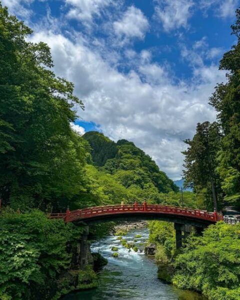 FROM TOKYO: NIKKO WORLD HERITAGE SIGHTS PRIVATE TOUR - Tips for a Great Experience