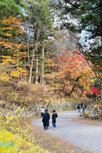 FROM TOKYO: NIKKO WORLD HERITAGE SIGHTS PRIVATE TOUR - Frequently Asked Questions