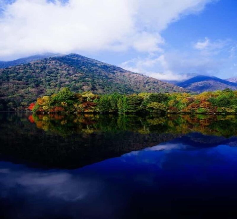 From Tokyo: Nikko World Heritage Site Private Day Trip - The Sum Up