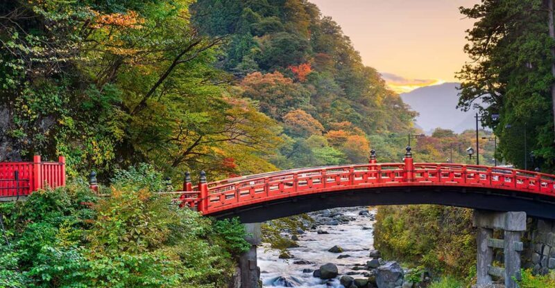 From Tokyo: Nikko World Heritage Site Private Full-Day Trip - What to Expect on the Day