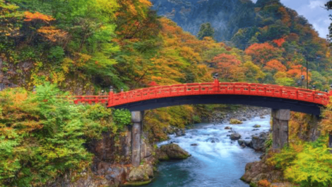 From Tokyo: Niko Full Day Private Tour With English Chauffer - Pickup and Drop-off Information
