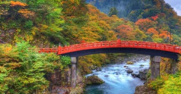 From Tokyo: Niko Full Day Private Tour With English Chauffer - Booking Information
