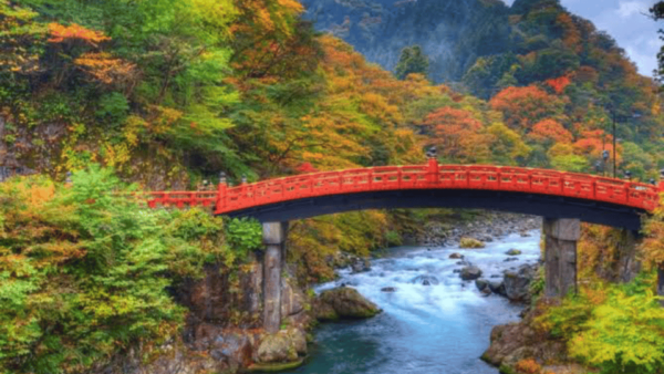 From Tokyo: Niko Full Day Private Tour With English Chauffer - Frequently Asked Questions