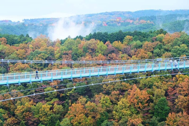 From Tokyo: Numazu Port, Mishima Skywalk, Mt. Fuji View Tour - Good To Know