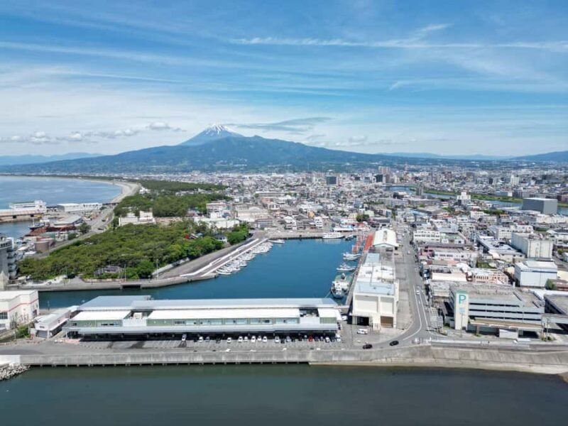 From Tokyo: Numazu Port, Mishima Skywalk, Mt. Fuji View Tour - FAQs