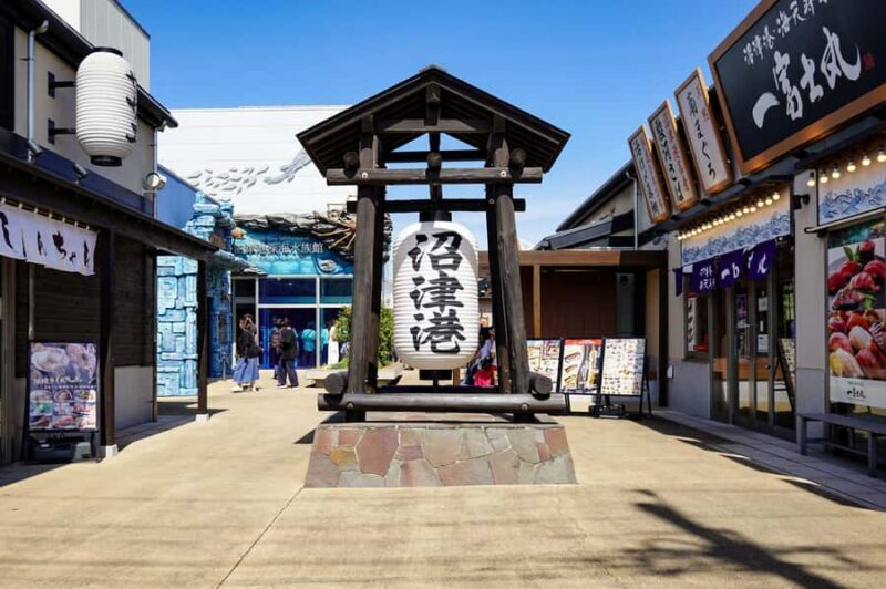 From Tokyo: Numazu Port, Mishima Skywalk, Mt. Fuji View Tour - Authentic Experiences and What Travelers Say