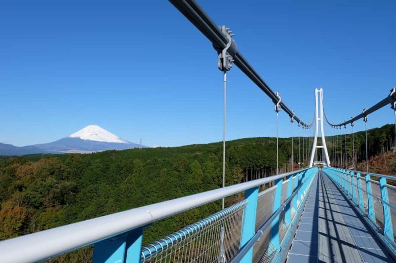 From Tokyo: Numazu Port, Mishima Skywalk, Mt. Fuji View Tour - Who Will Love This Tour?