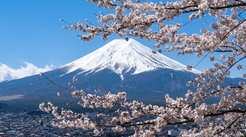 From Tokyo: Off-Peak Secret Spot Day Tour to Mount Fuji - Final Thoughts: Who Is This Tour Best For?